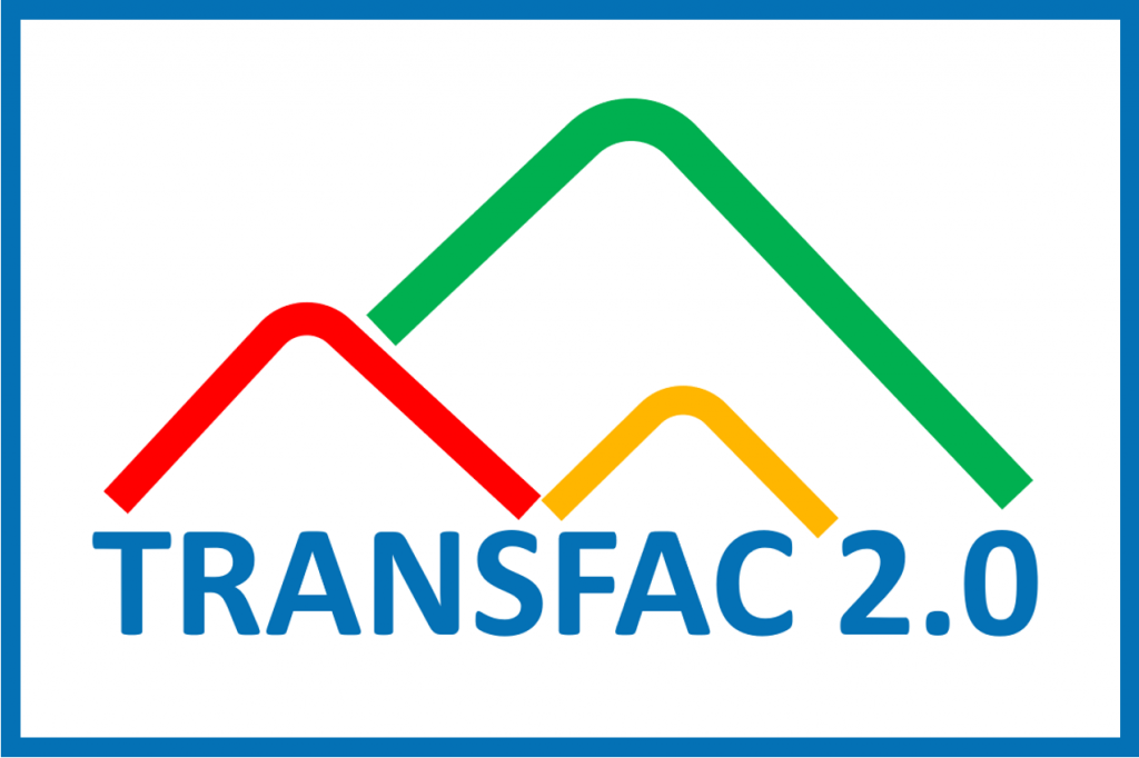 TRANSFAC 2.0