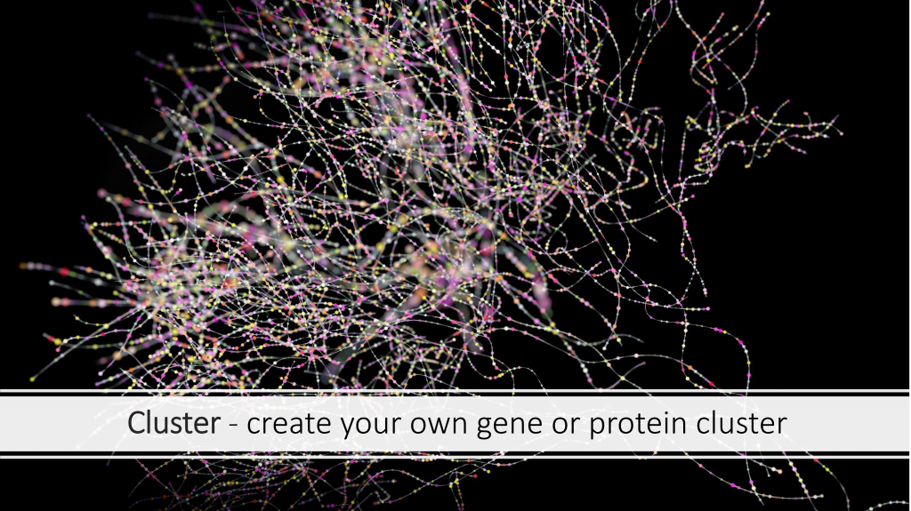 gene or protein cluster