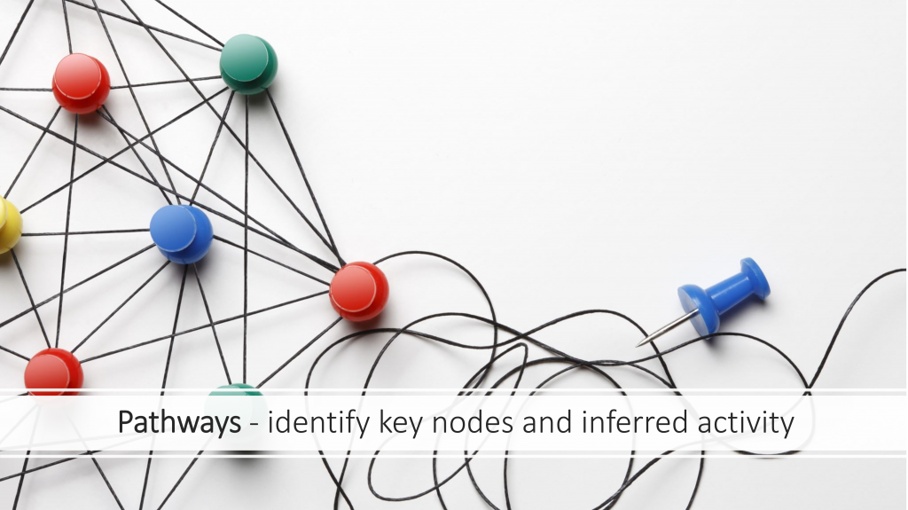 pathways and key nodes