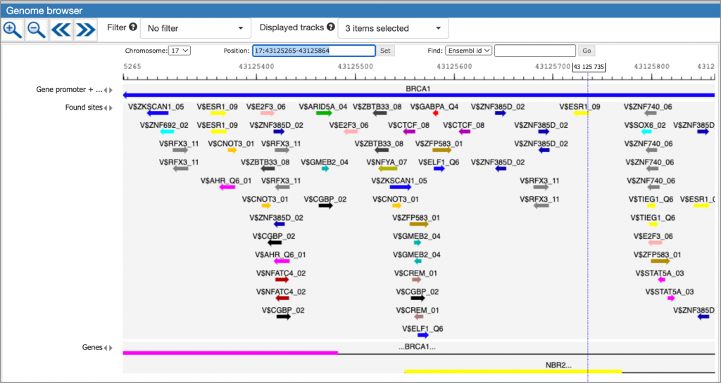 Genome browser visualization single gene analysis in MATCH Suite