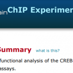 ChIP-seq-experiment-Report