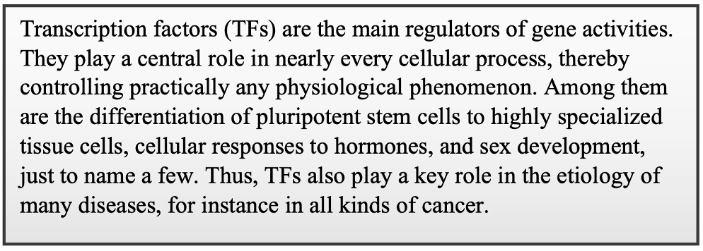 Transcription factors (TFs) are the main regulators of gene activities. They play a central role in nearly every cellular process, thereby controlling practically any physiological phenomenon. Among them are the differentiation of pluripotent stem cells to highly specialized tissue cells, cellular responses to hormones, and sex development, just to name a few. Thus, TFs also play a key role in the etiology of many diseases, for instance in all kinds of cancer.