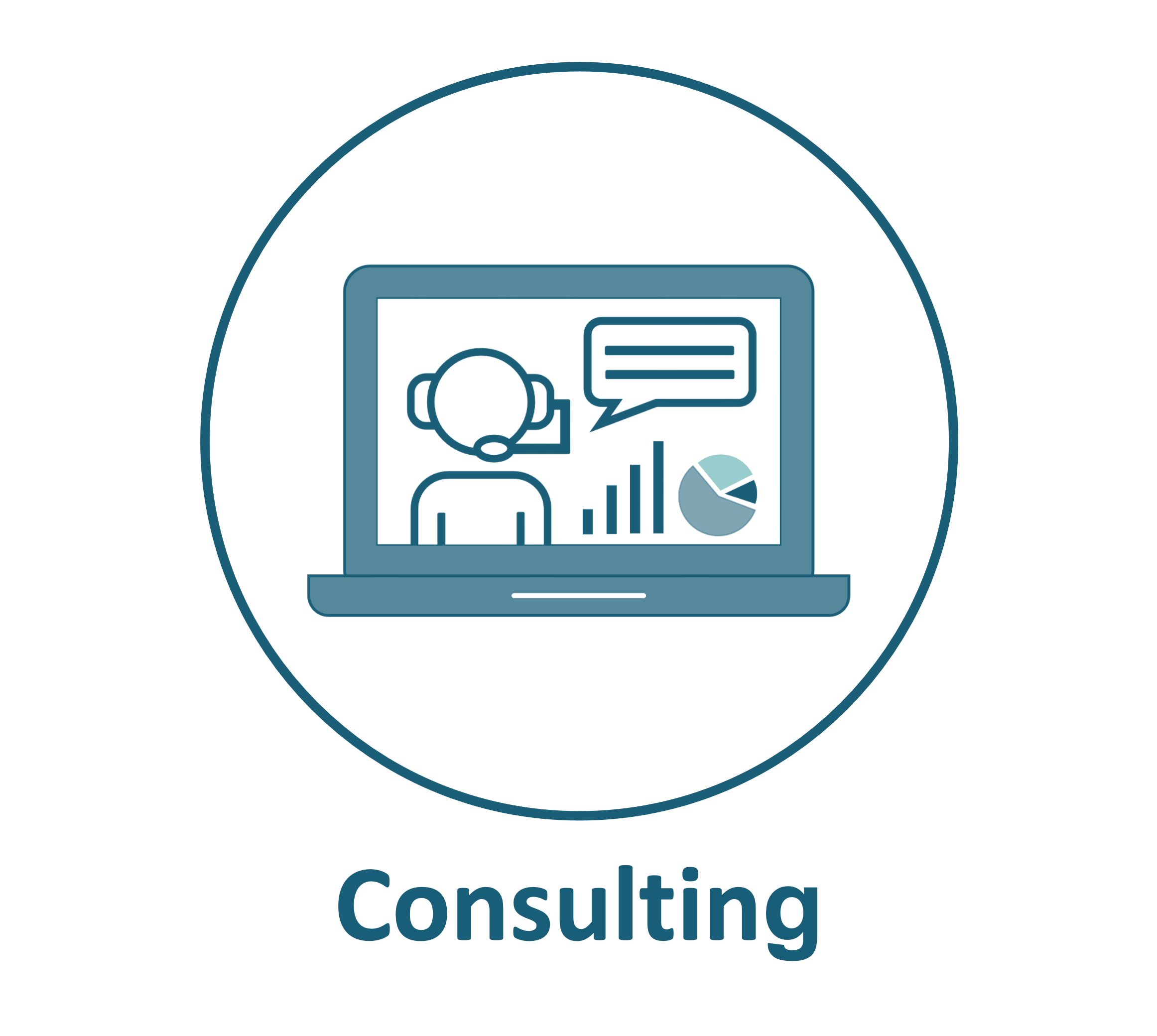 Consulting service
