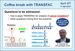 How to apply TRANSFAC for analysis of cancer mutations