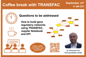 How to build gene regulatory networks using TRANSFAC, Jupyter Notebook and API
