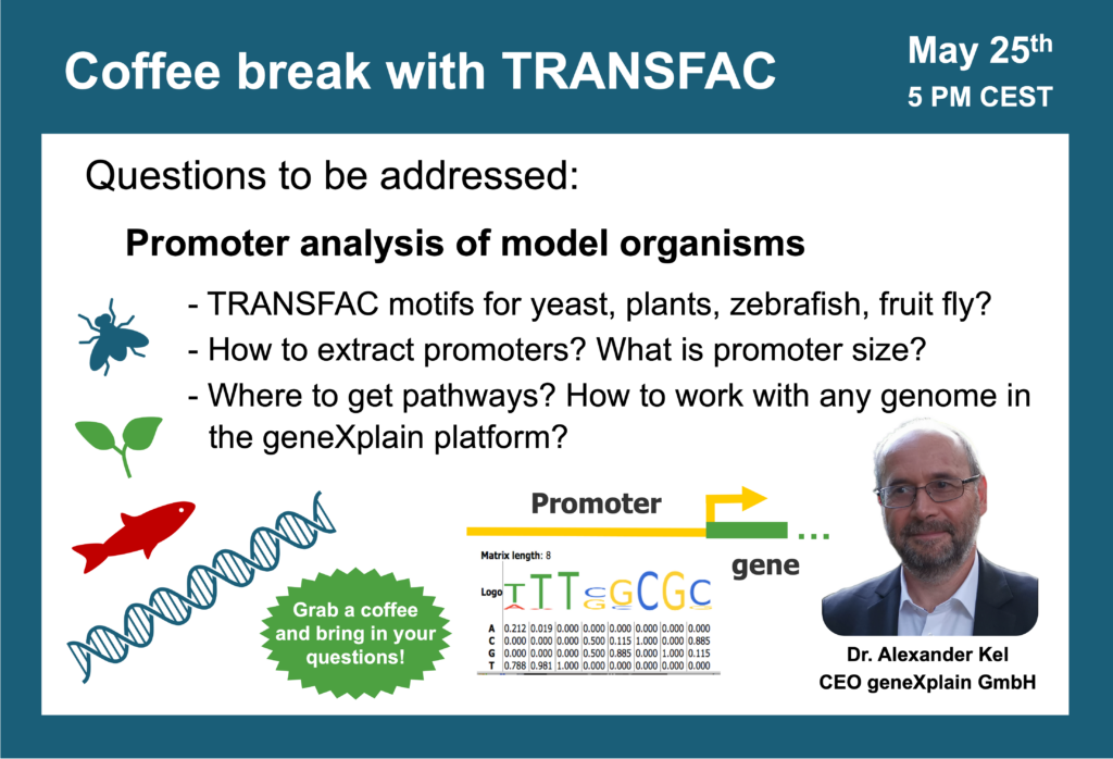 Promoter analysis of model organisms 1