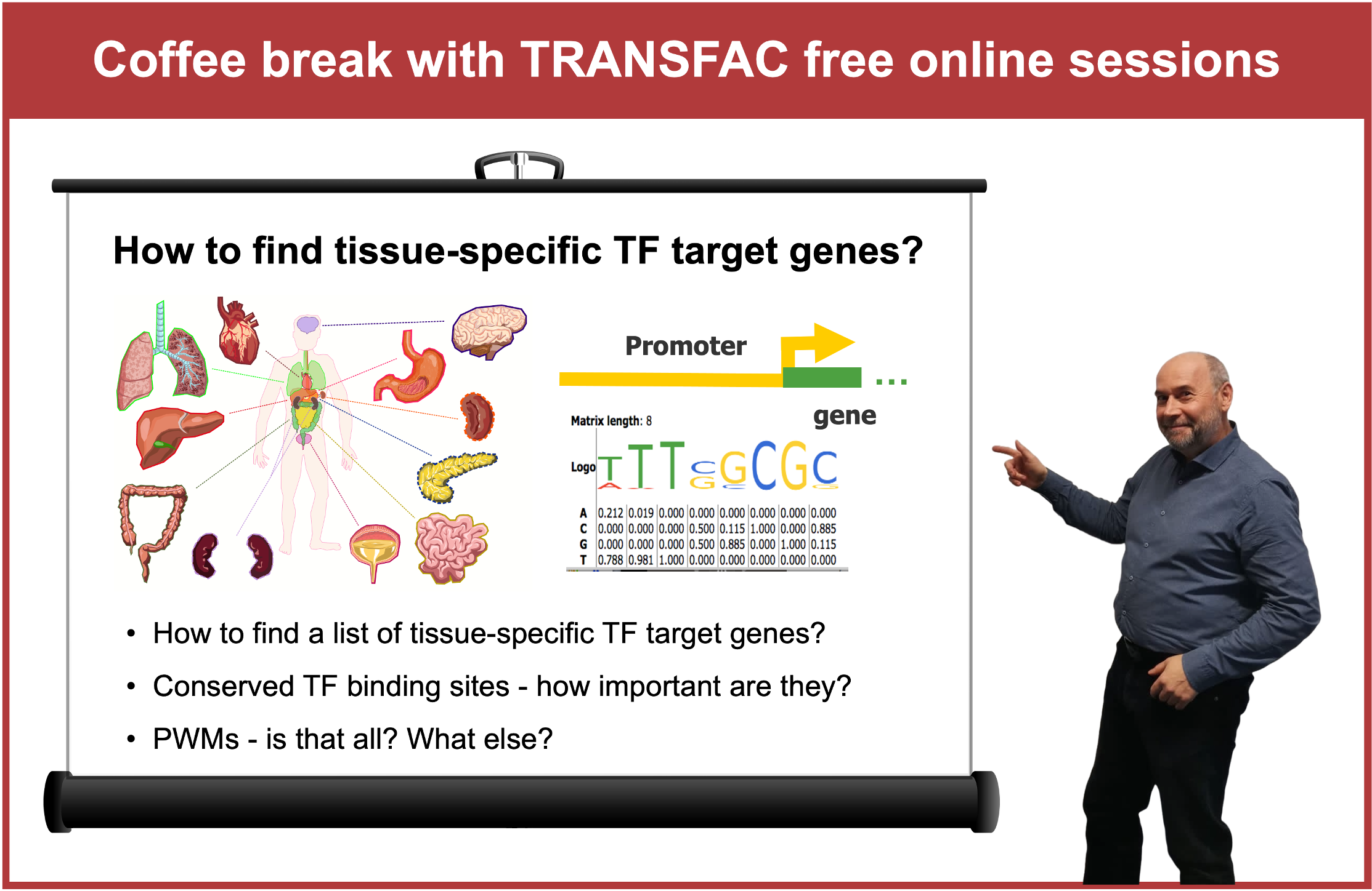 Tissue specific TF target genes