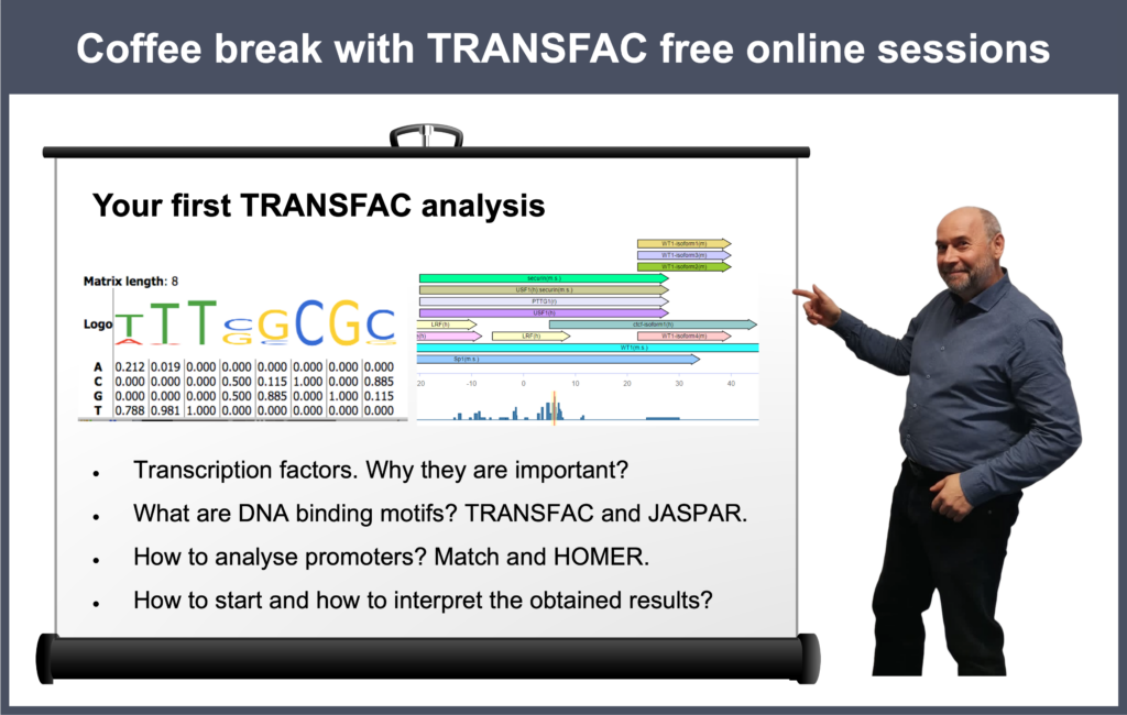 Your first TRANSFAC analysis