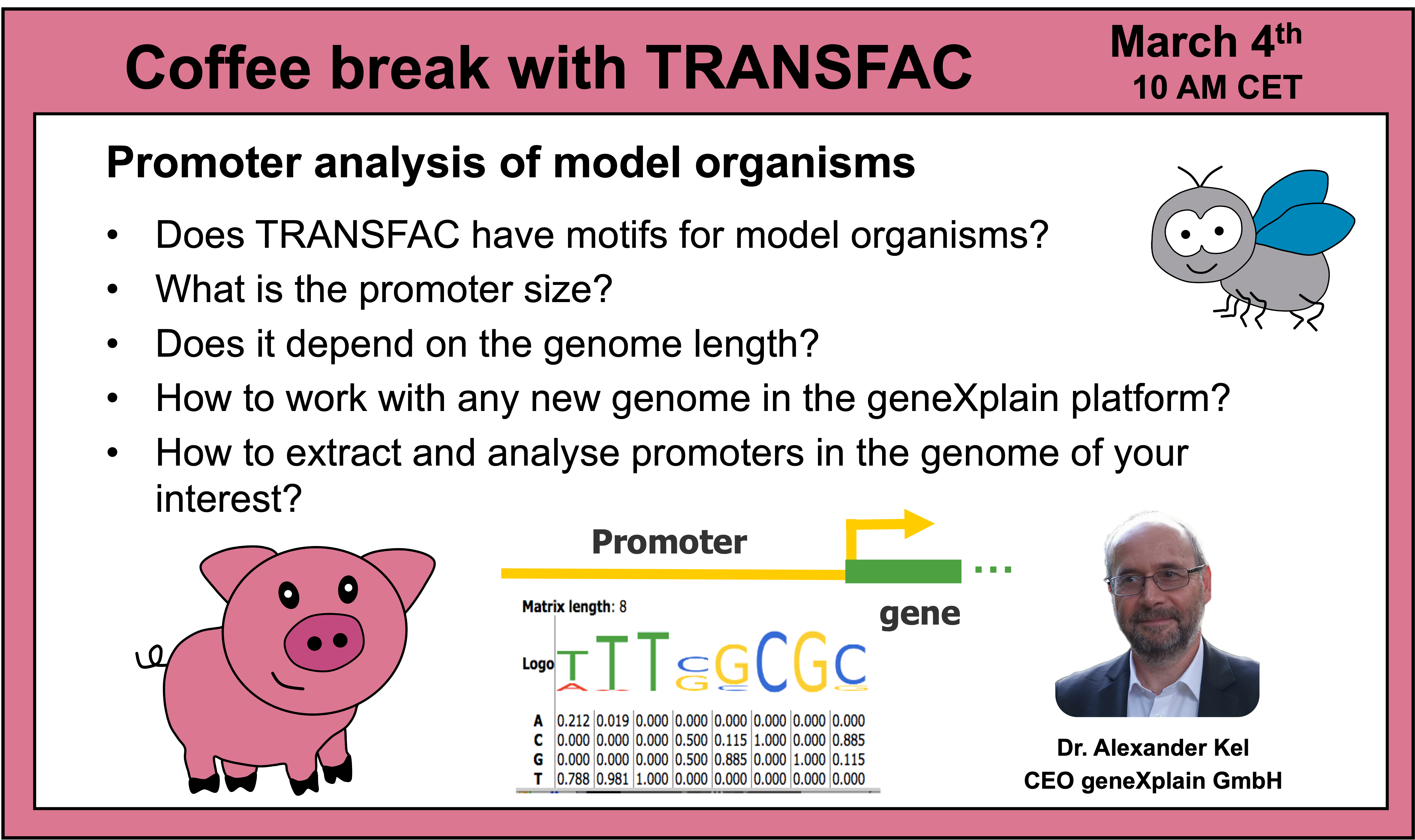 Coffee break with TRANSFAC webinar banner: promoter analysis of model organisms, with Dr. Alexander Kel