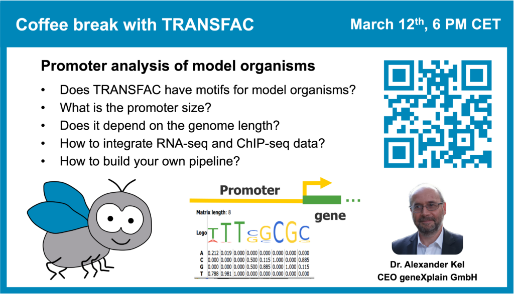 Promoter analysis of model organisms (part 2)