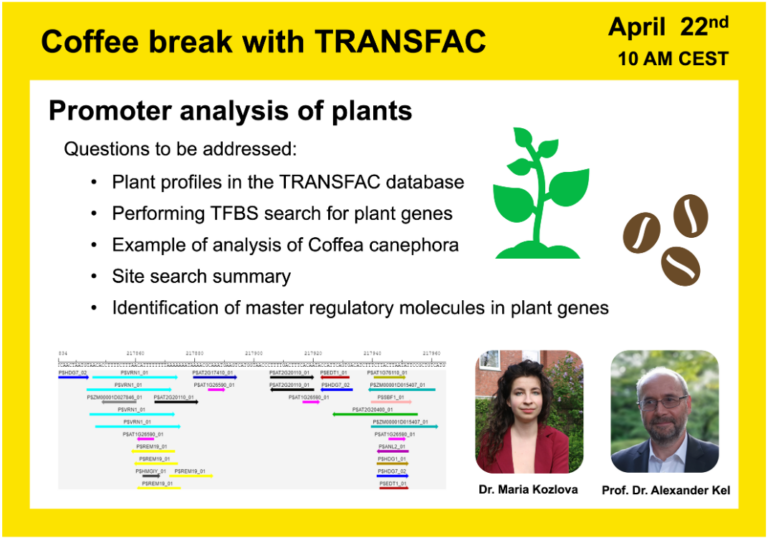 Promoter analysis of plants - GeneXplain GmbH