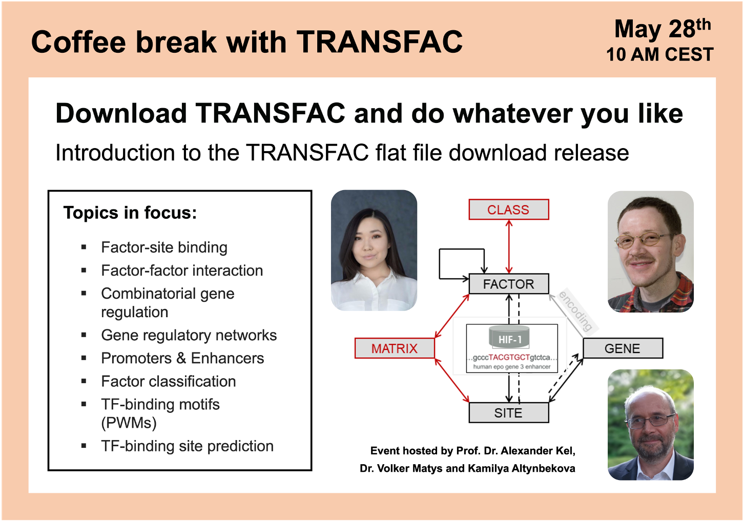 Download TRANSFAC and do whatever you like
