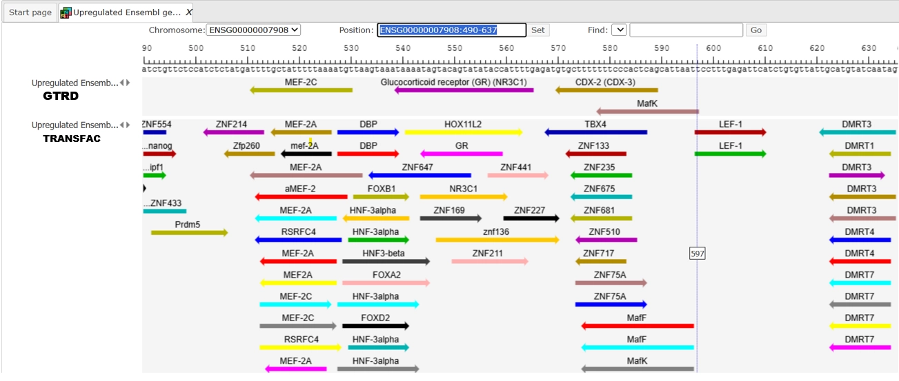 geneXplain platform Introduction, Load data, Analyze any sequence for TFBSs (GTRD) 20. Workflow Results