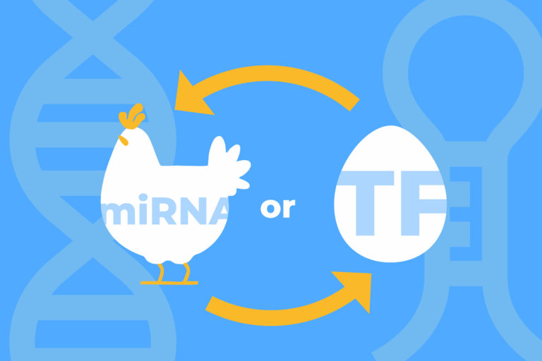 Blog who came first – transcription factors or mirnas?