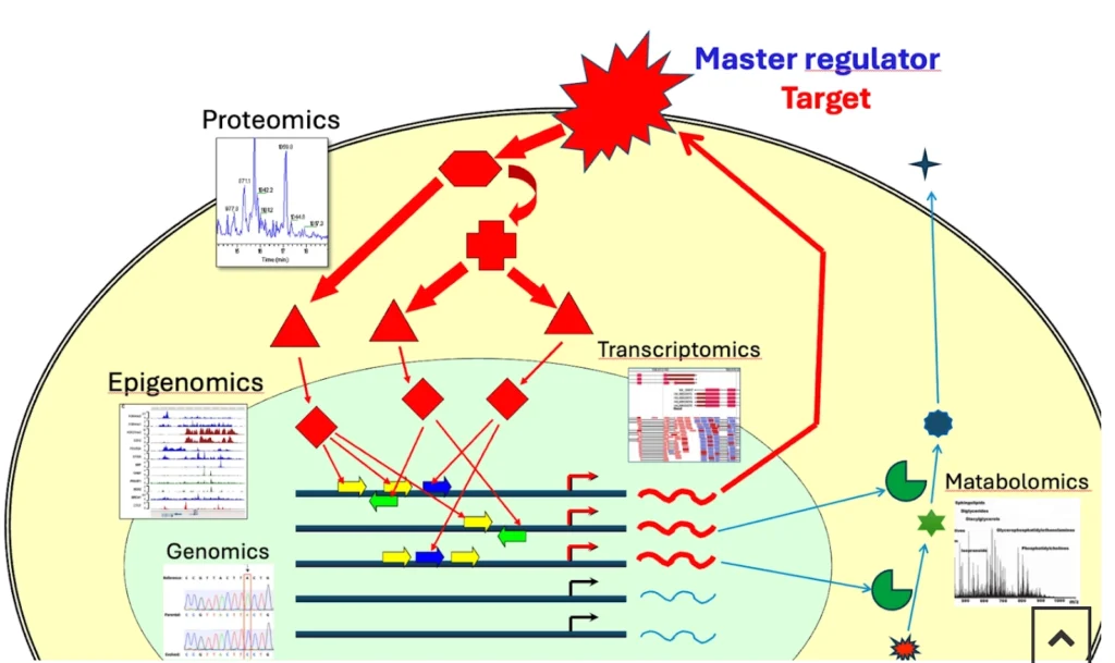 End‑to‑end multi‑omics workflow proteomics