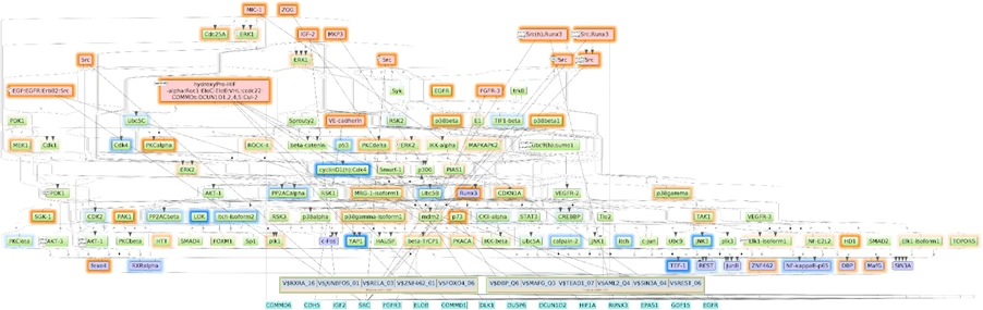 reconstruct pathways & identify master regulators using upstream analysis