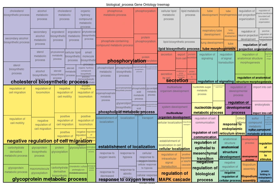 negative regulation of cell migration