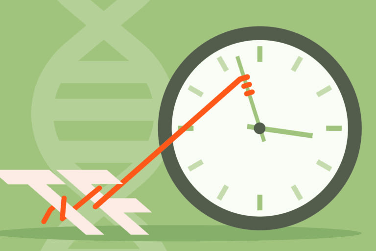 Blog transcription factors clock on aging?