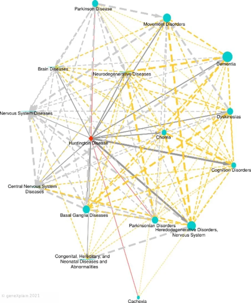 disease similarity map connects diseases (nodes) with edges