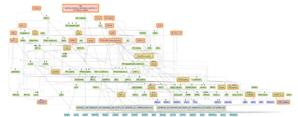 most frequently mutated genes in longevity snp
