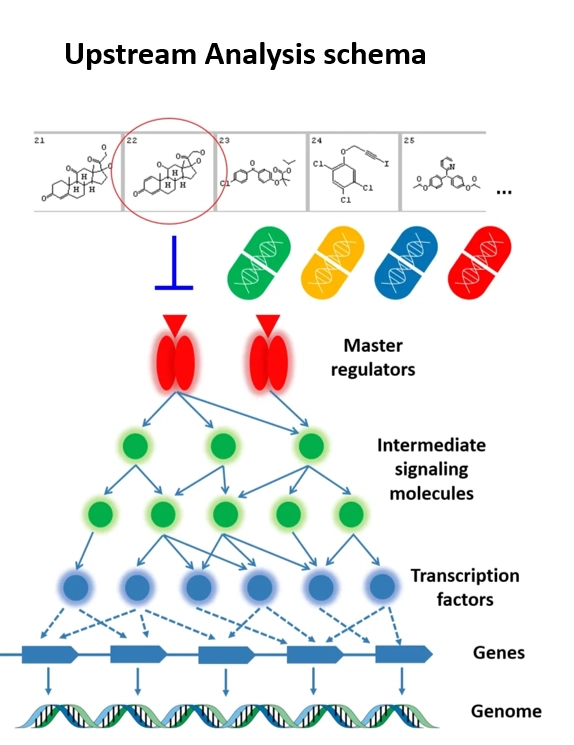 case study upstream analysis in triple negative breast cancer