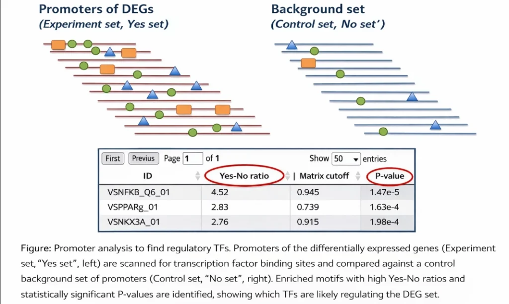 identifying regulatory signals in gene promoters