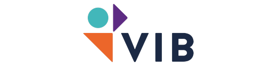 ns vib eq logo